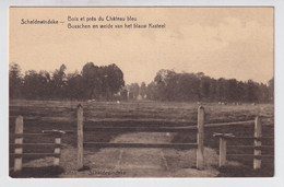 SCHELDEWINDEKE  BOSSCHEN EN WEIDE VAN HET BLAUW KASTEEL - Oosterzele