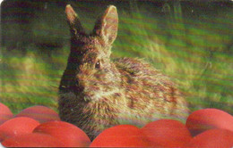 PHONE CARD-ROMANIA-ROMTELECOM - CHIP - Rabbits