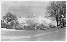 Carte-Photo - Sceau Vernayaz - Dent De Morcles - Vernayaz