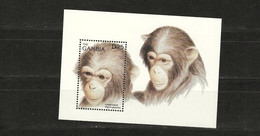 GAMBIA Nº  HB 282 - Chimpanzees