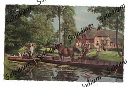 GIETHOORN CAVALLO HORSE CANE DOG - Giethoorn