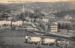 Montauban-de-Luchon      31        Environs De Beau Soleil .   Attelage De Bœufs Basques  ( Voir Scan) - Sonstige & Ohne Zuordnung