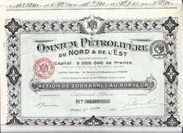 Action De 500 Francs Au Porteur OMNIUM PETROLIFERE NORD ET EST (capital 10 Millions) 1920 - Erdöl