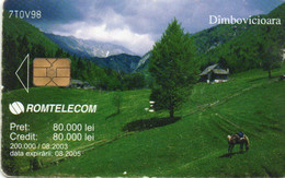 PHONE CARD - ROMANIA - CHIP - Landscapes