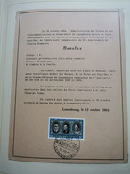 Luxembourg, Cachet Obliterant Spécial, Benelux 1964 - Blocks & Sheetlets & Panes