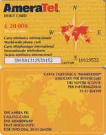 752/ Italy; AmeraTel, 20.000 L. - Usages Spéciaux