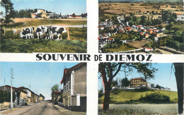 CPSM FRANCE 38 " Diemoz , Vues" - Diémoz