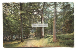 Rothesay - In Skeoch Wood - Early Postcard With Arrochar Duplex Postmark No. 430 - Bute