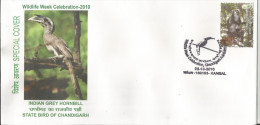 Inde India 2010 Special Cover Indian Grey Hornbill, State Bird Of Chandigarh, Pictorial Cancellation, Birds - Pernice, Quaglie