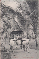 Sri Lanka Ceylan Native Bullock Travelling Wagon Ethnic Ethnique CPA - Sri Lanka (Ceylon)