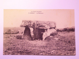 2021 - 1704  VAOUR  (Tarn)  :  Le DOLMEN   XXX - Vaour