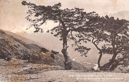 Lötschebahn Bei St German Blick Auf Rhonetal Und Simplongruppe Raron - Simplon