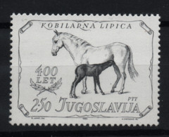 2994 Yugoslavia 1980 Lipica Stud Farm - 400th Anniversary, MNH - Otros & Sin Clasificación