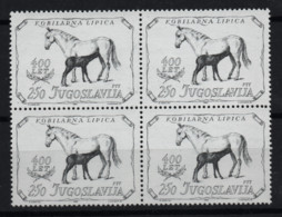 2994 Yugoslavia 1980 Lipica Stud Farm - 400th Anniversary, Block Of 4 MNH - Other & Unclassified