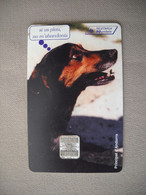 6976 Télécarte Collection  CHIEN   Principauté D' ANDORRE   ( Recto Verso)  Carte Téléphonique - Dogs