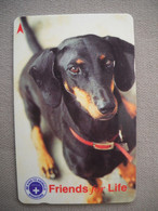 6981 Télécarte Collection  CHIEN  Teckel  ( Recto Verso)  Carte Téléphonique - Dogs