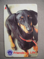 6981 Télécarte Collection  CHIEN  Teckel  ( Recto Verso)  Carte Téléphonique - Honden