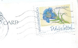 HONGRIE MAGYAR TP Fleur Sur Carte Postale Entière - Postmark Collection