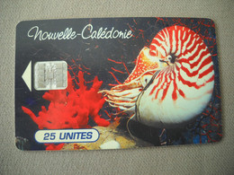 7018 Télécarte Collection NOUVELLE CALEDONIE  Nautilus Macromphalus Aquarium Nouméa  ( Recto Verso)  Carte Téléphonique - Nueva Caledonia