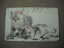 7009 Télécarte Collection CHAT CHATON   ( Recto Verso)  Carte Téléphonique - Katten