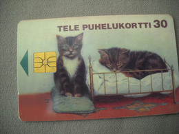 7006 Télécarte Collection CHAT  Couple Petits Chats   ( Recto Verso)  Carte Téléphonique - Katten