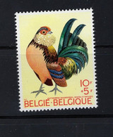 BELGIQUE BELGIE COQ HAAN  MNH XX - Farm