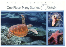 (OO 25)  Tortoise - Turtle - Tortue (one Place Many Story = Ocean) - Schildpadden