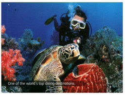 (OO 25)  Tortoise - Turtle - Tortue (Diving Experiance) Posted From Malaysia To Austrlaia - Tortues