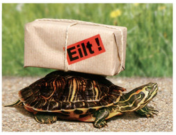 (OO 25)  Tortoise - Turtle - Tortue (Humour) Eilt ! - Schildkröten