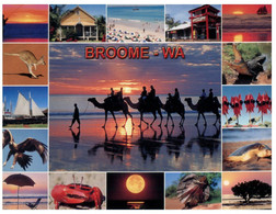 (OO 25) Australia -  Kangaroo / Tortois / Camel Ride Etc (Broome) - Broome