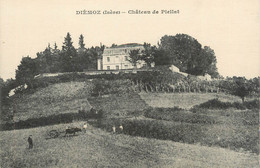 CPA FRANCE 38 " Diémoz, Château De Piellat" - Diémoz