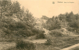 CPA Gistoux-Dans Les Bruyères    L552 - Chaumont-Gistoux