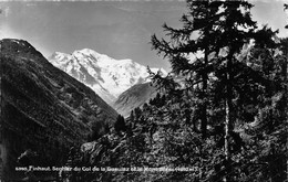 Finhaut Sentier Du Col De La Gueulaz Et Le Mont Blanc - Finhaut