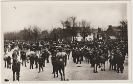 Landivisiau (29 - Finistère) Le Champ De Foire - Landivisiau