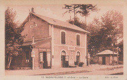 NEGREPELISSE  -  LA GARE - Negrepelisse