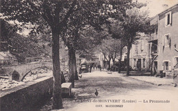 LE PONT-de-MONTVERT :  (48) La Promenade - Le Pont De Montvert