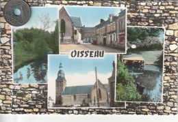 53 - Très Belle Carte Postale Semi Moderne De    Oisseau     Multi Vues - Autres & Non Classés