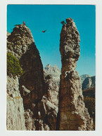 MISURINA (BL):  DOLOMITI  -  GUGLIA  DE  AMICIS  -  TRAVERSATA  AEREA  -  FOTO  -  FG - Climbing