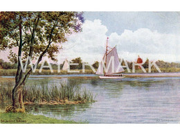 SALHOUSE BROAD OLD COLOUR ART POSTCARD A.R. QUINTON NO. 2877 - Quinton, AR