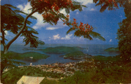 ISLAS VÍRGENES , T.P. NO CIRCULADA , CHARLOTTE AMALIE , ST. THOMAS , VIRGIN ISLANDS - Vierges (Iles), Amér.