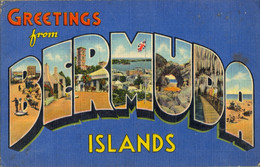 BERMUDA , T.P. CIRCULADA , GREETINGS FROM BERMUDA ISLANDS - Bermuda