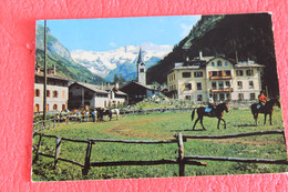 Aosta Gressoney St. Jean Scorcio Del Campo Ippico 1971 - Altri & Non Classificati