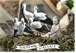 ENFANTS : Souvenir D'Alsace - Portretten