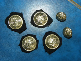 Lot De 4 Boutons Pressions Sur Fragments De Tissus + 2 Boutons De Poches à Anneaux Police Nationale - Police & Gendarmerie