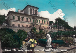 CARTOLINA  PESARO,MARCHE,ISTITUTO TECNICO AGRARIO STATALE "A CECCHI",(VILLA CAPRILE),BELLA ITALIA,VIAGGIATA 1966 - Pesaro