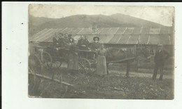 Suisse - Stafa - Zurich - Carte Photo - Attelage - Départ Pour Les Travaux Des Champs - 1918 - - Stäfa