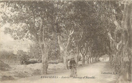 CPA FRANCE 13 " Eyguières, Avenue D'Aureille" - Eyguieres