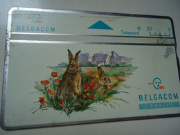 BELGIUM   USED CARDS   ANIMALS - Konijnen