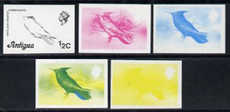 Antigua 1976 Crested Hummingbird 1/2c (without Imprint) Set Of 5 Imperf Progressive Colour Proofs - Altri & Non Classificati