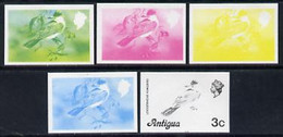 Antigua 1976 Loggerhead Kingbird 3c (with Imprint) Set Of 5 Imperf Progressive Colour Proofs (as SG 472B) U/m - Autres & Non Classés